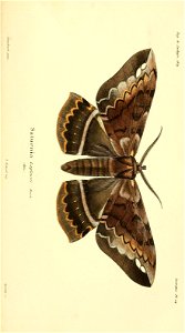 n472_w1150