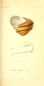 n302_w1150