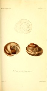 n298_w1150