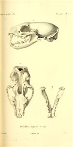n196_w1150