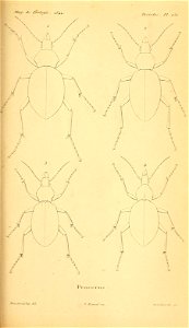 n406_w1150