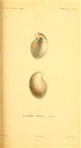 n230_w1150