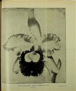 n694_w1150