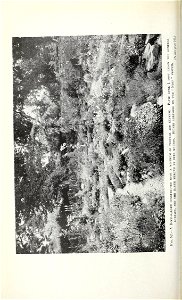 n195_w1150