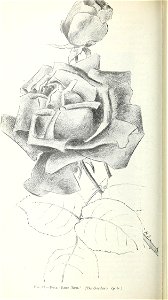 n687_w1150