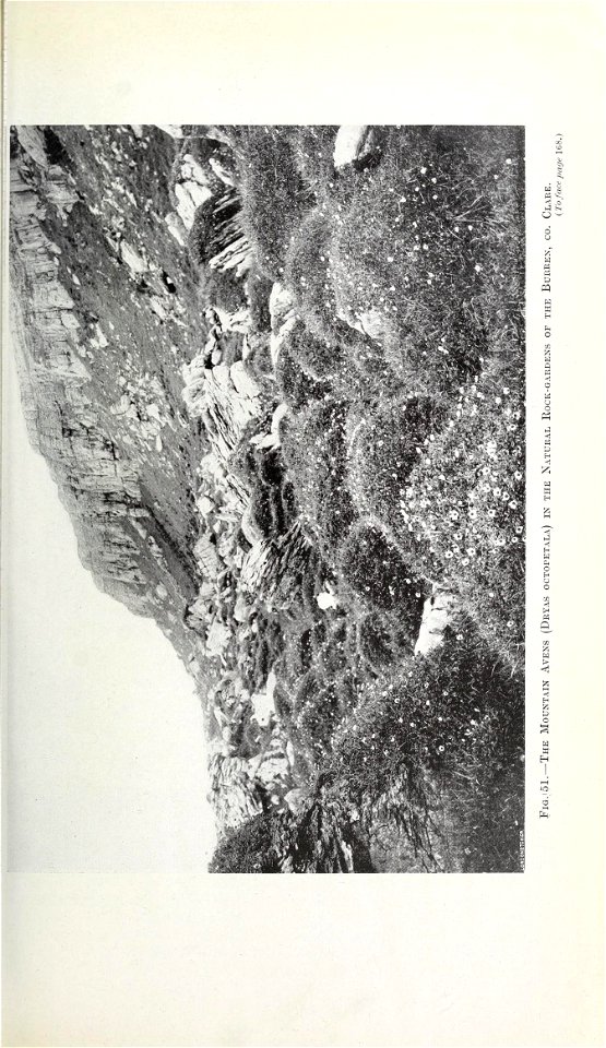 n194_w1150