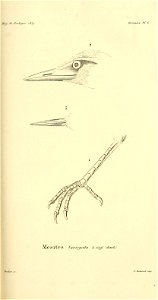 n238_w1150