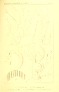 n328_w1150