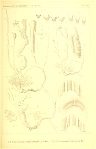 n298_w1150