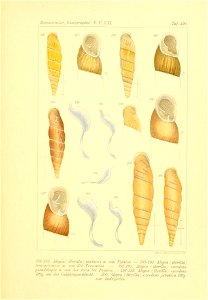 n38_w1150