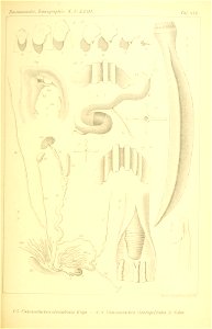 n296_w1150