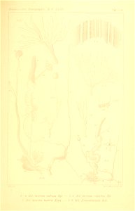 n324_w1150