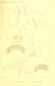n322_w1150
