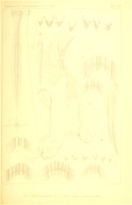 n292_w1150