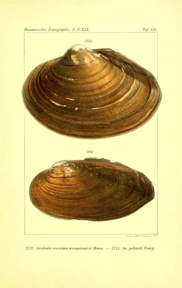 n20_w1150