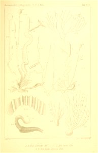 n320_w1150