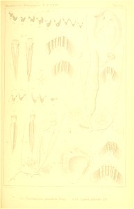 n290_w1150