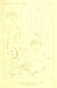 n318_w1150