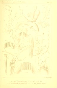 n316_w1150
