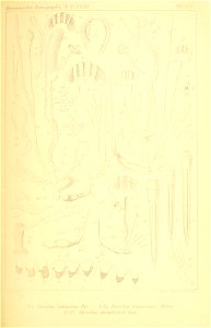 n286_w1150