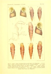 n26_w1150