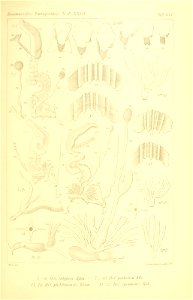 n314_w1150