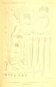 n284_w1150