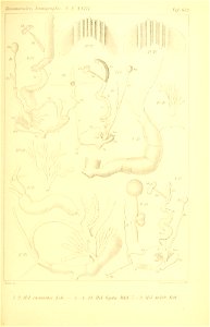 n312_w1150