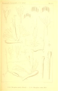 n282_w1150