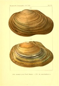 n44_w1150