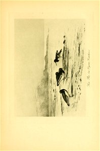 n176_w1150
