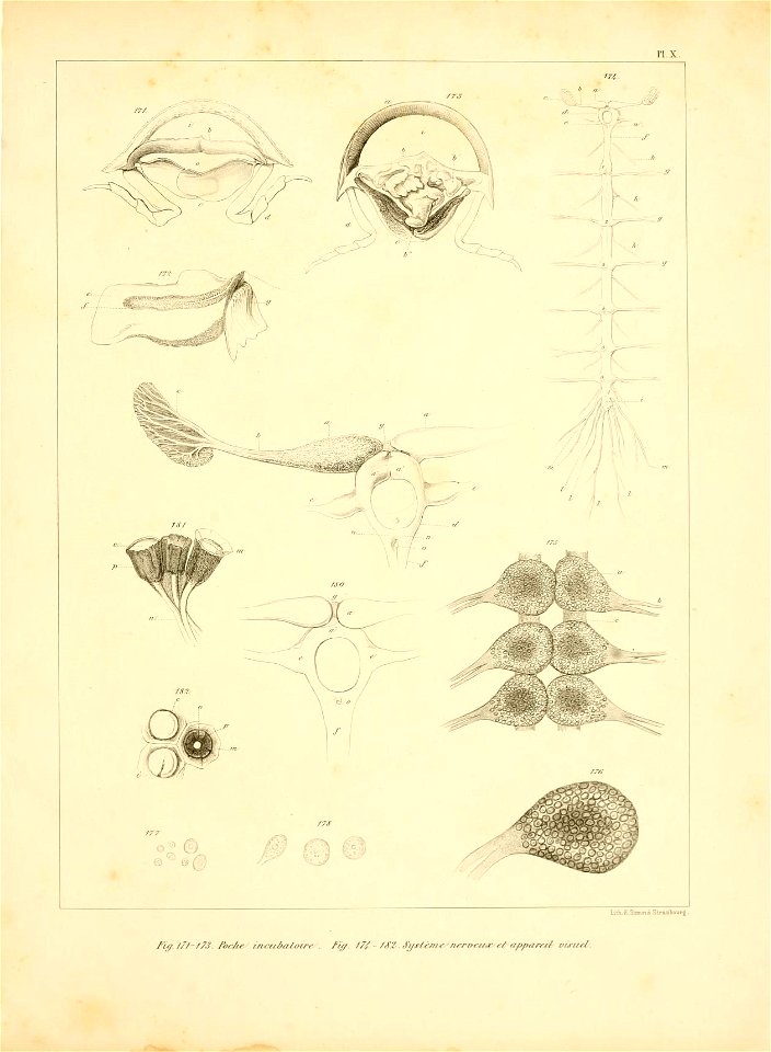n158_w1150