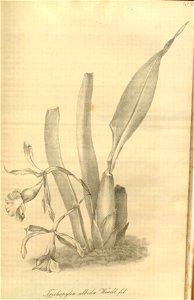 n76_w1150