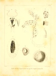 n156_w1150