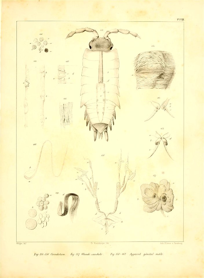 n154_w1150