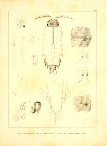 n154_w1150