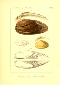 n56_w1150