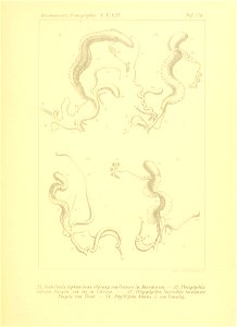 n30_w1150