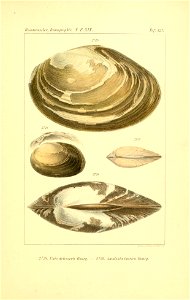 n16_w1150