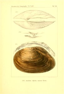 n46_w1150