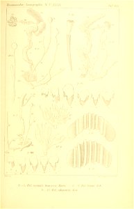n310_w1150