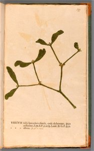 n404_w1150