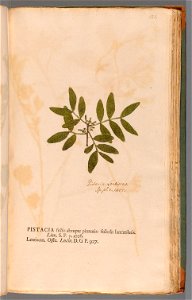 n252_w1150