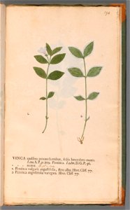 n398_w1150
