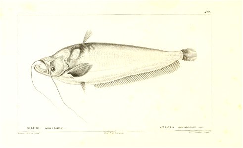 n152_w1150
