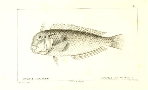 n122_w1150