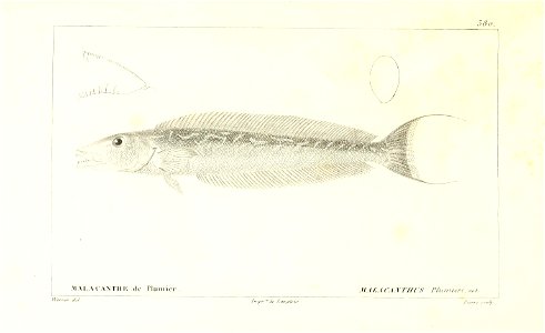 n92_w1150