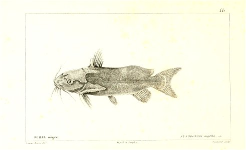 n210_w1150