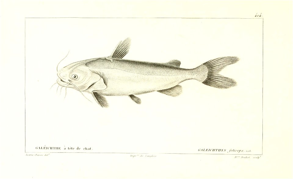 n180_w1150