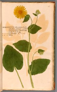 n102_w1150